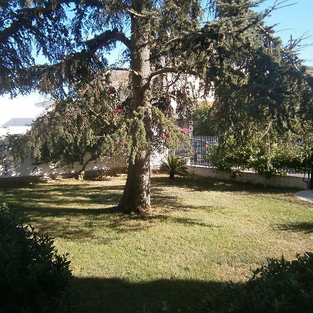 B&B Il Cedro Салве Екстериор снимка