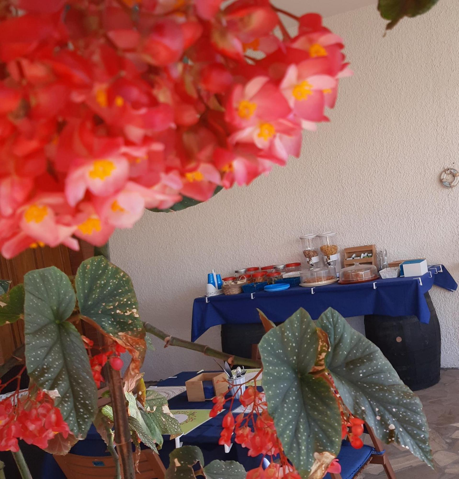 B&B Il Cedro Салве Екстериор снимка