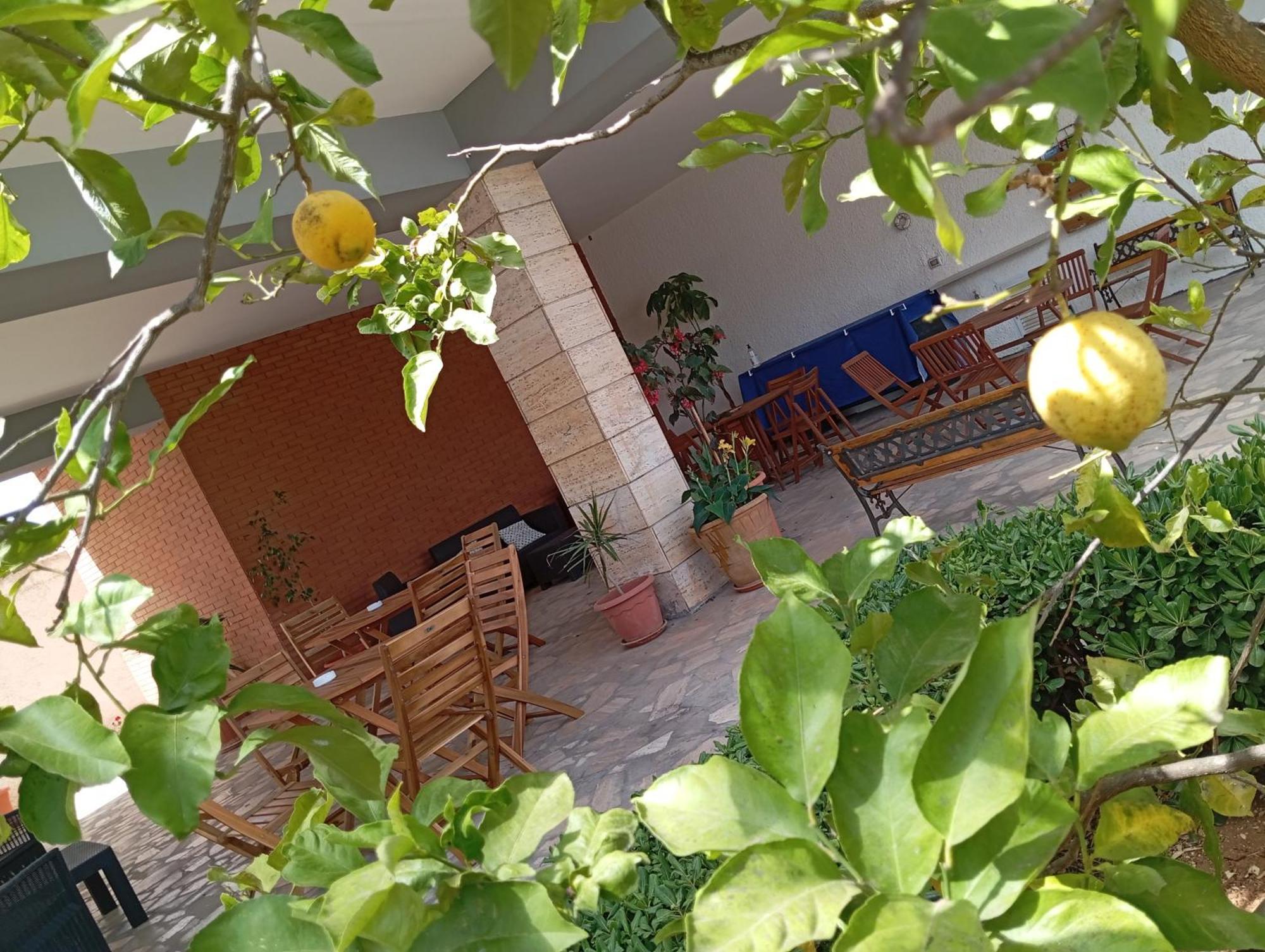 B&B Il Cedro Салве Екстериор снимка